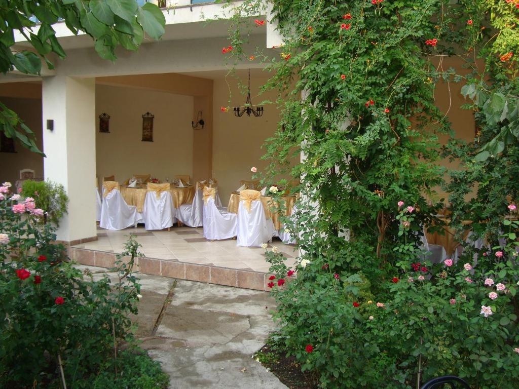 Hostel Tropical Дробета-Турну-Северин Екстер'єр фото